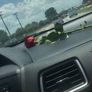 Meet your Posher, Rosa